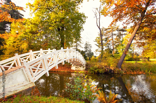 bunte Herbstlandschaft