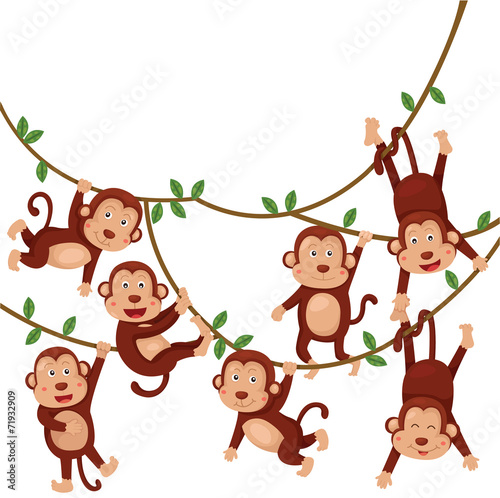 Carta da parati Scimmie - Carta da parati Illustrator of monkeys funny cartoon