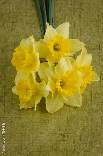 Jonquil flowers