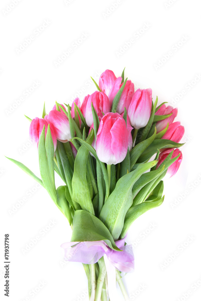 bouquet of pink tulips bouquet of pink tulips