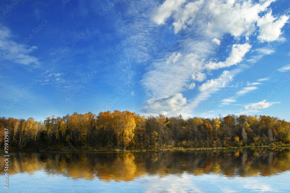 forest reflected in lake forest reflected in lake
