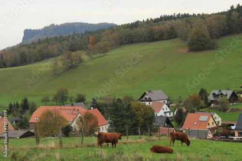 Blick über Pfaffendorf zum Lilienstein