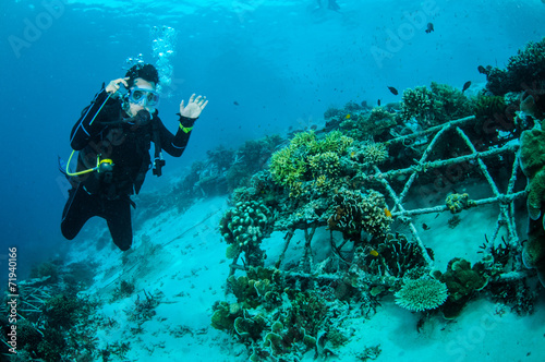 Diver and biorocks in Gili Lombok Nusa Tenggara Barat underwater photo