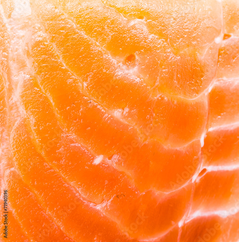 Salmon meat background