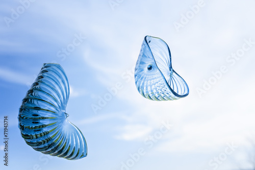 Two glass shells on background of sky