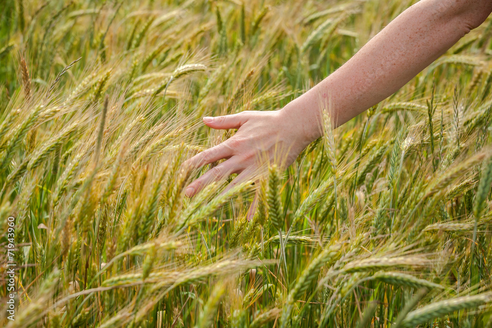 Hand over rye Hand over rye