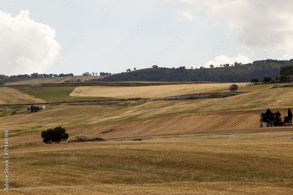Obraz premium I colori della campagna