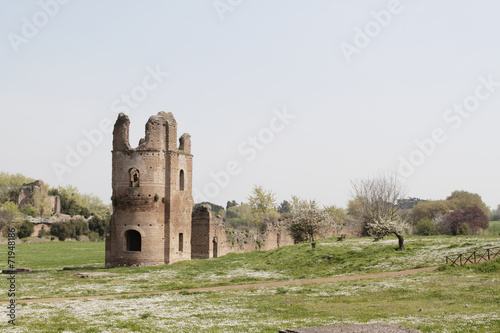 Circo di Massenzio photo