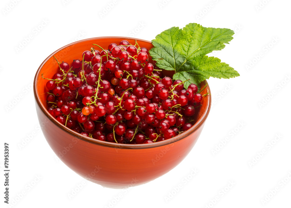Red currant Red currant