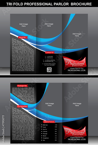 Tri Fold Professional Parlor Brochure