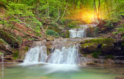 Fototapeta Naklejka Na Ścianę i Meble -  Waterfall in green forest