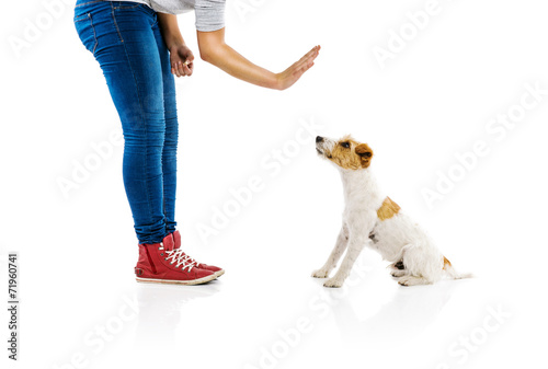Woman training dog isolated