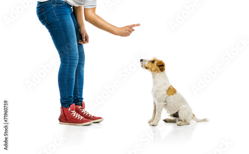 Woman training dog isolated photo