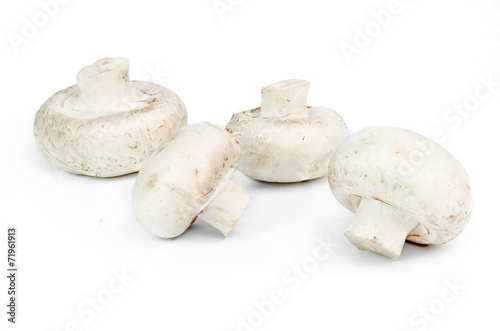 Four champignons isolated