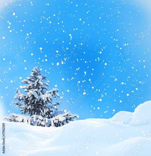 winter landscape © Lilya