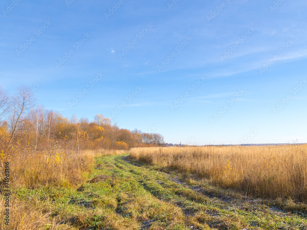 road in field late autumn