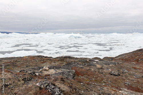 Wallpaper Mural Arctic landscape in Greenland with icebergs Torontodigital.ca