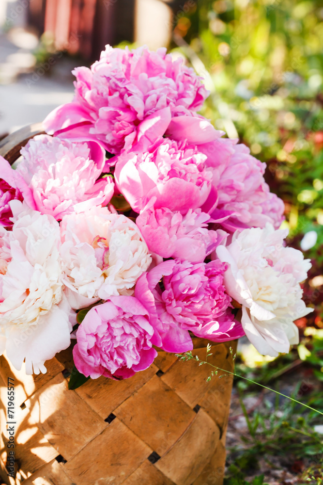 peonies in basket peonies in basket