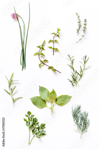 fresh herbs