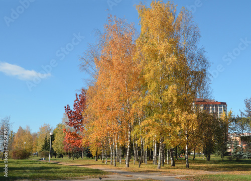 autumn view in Minsk