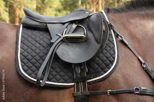 Black saddle on black horse