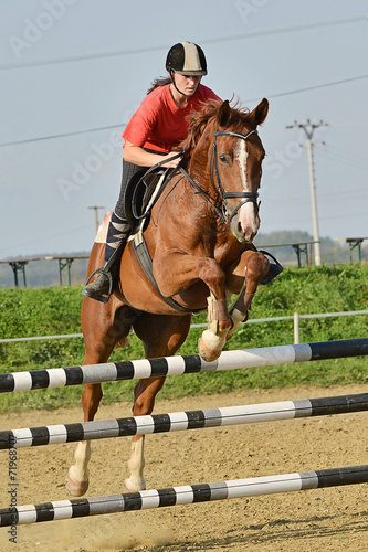 horse jumping © muro