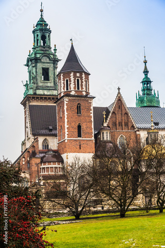 Poland, Wawel Cathedral  complex in Krakow #71973998