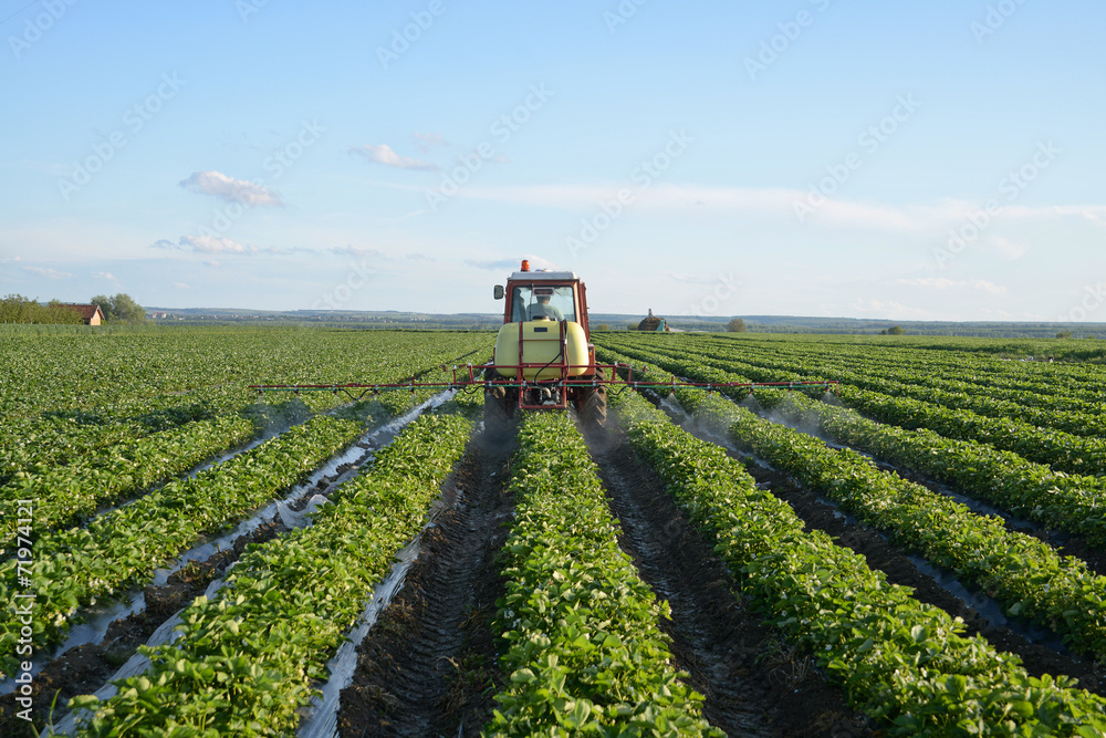 Fototapeta premium Tractor in a field