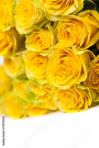 Group of fresh yellow roses