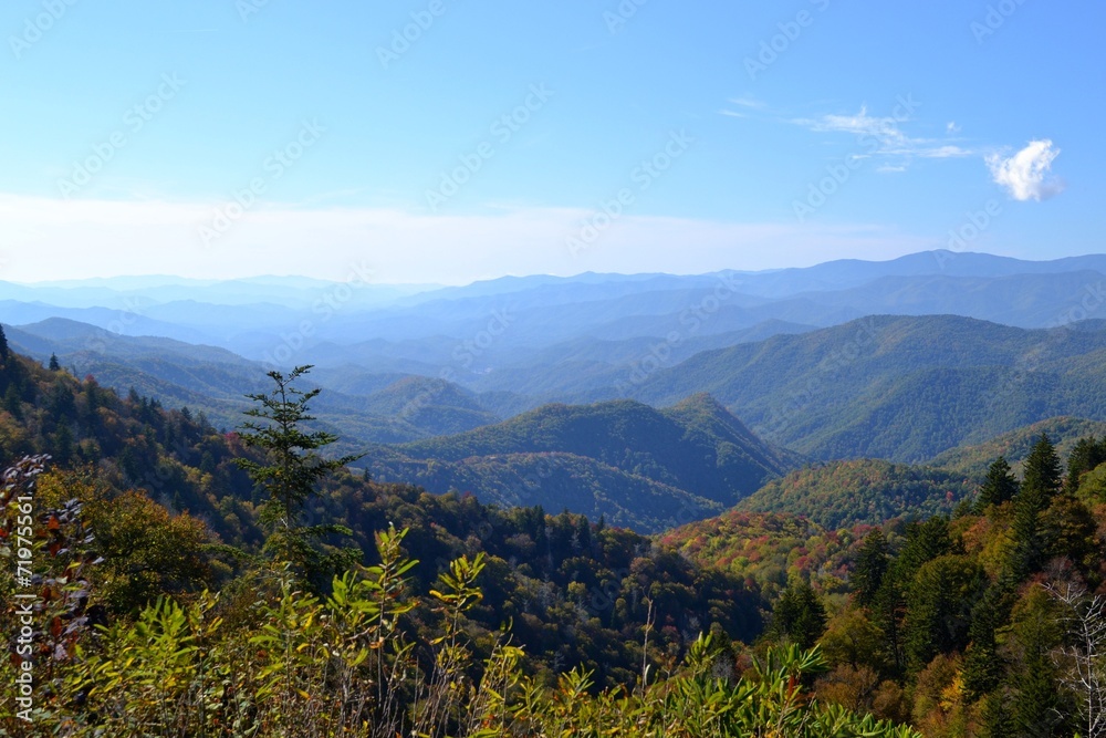 Appalachian Mountain Scene-04