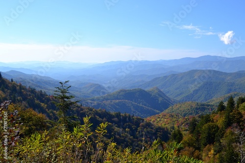 Appalachian Mountain Scene-04 © fowler5338