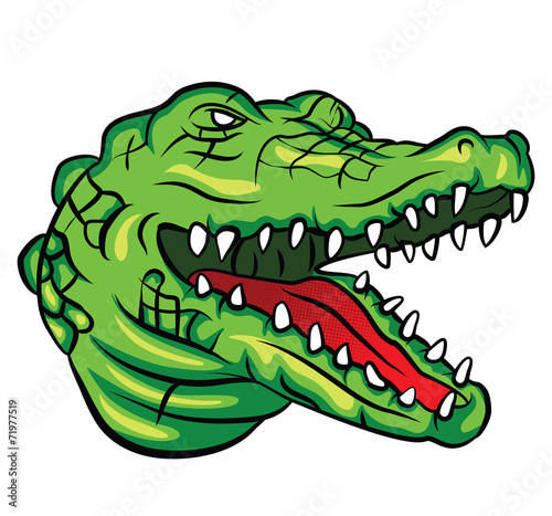 Crocodile Head © funway5400