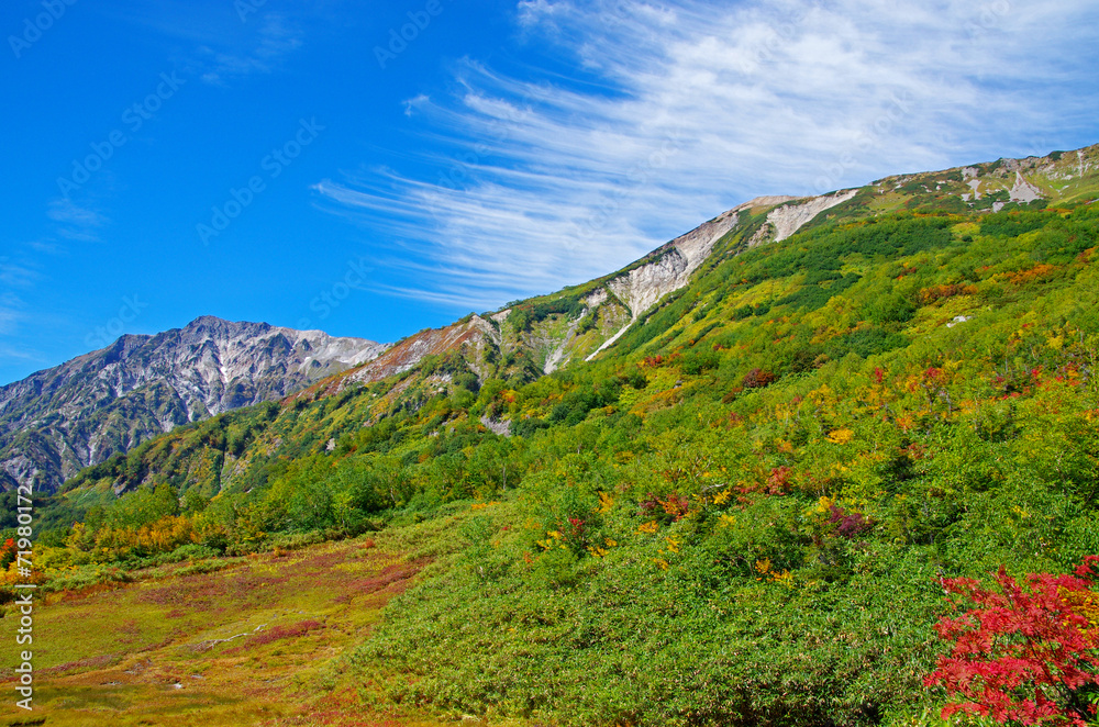 Fototapeta premium 秋の栂池自然園