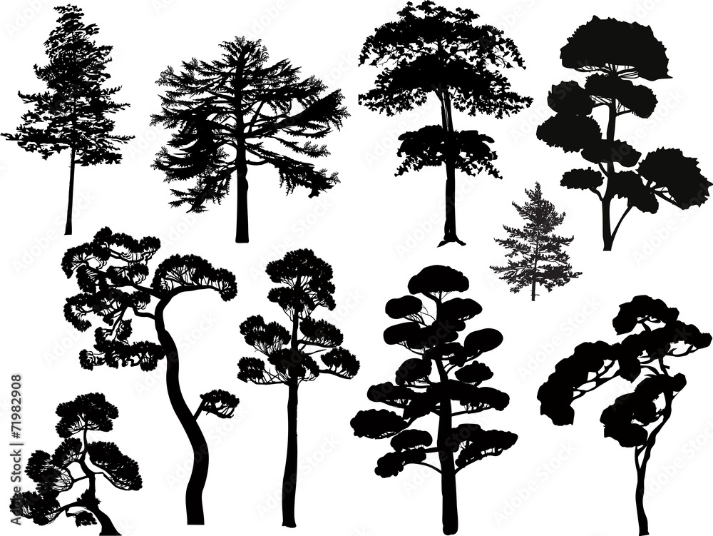 Fototapeta premium ten black trees set isolated on white