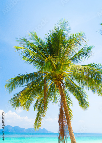 Palm View Relaxation In Peace © alma_sacra