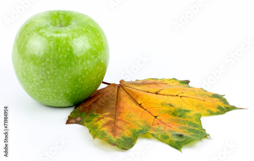 apple and maple leaves.