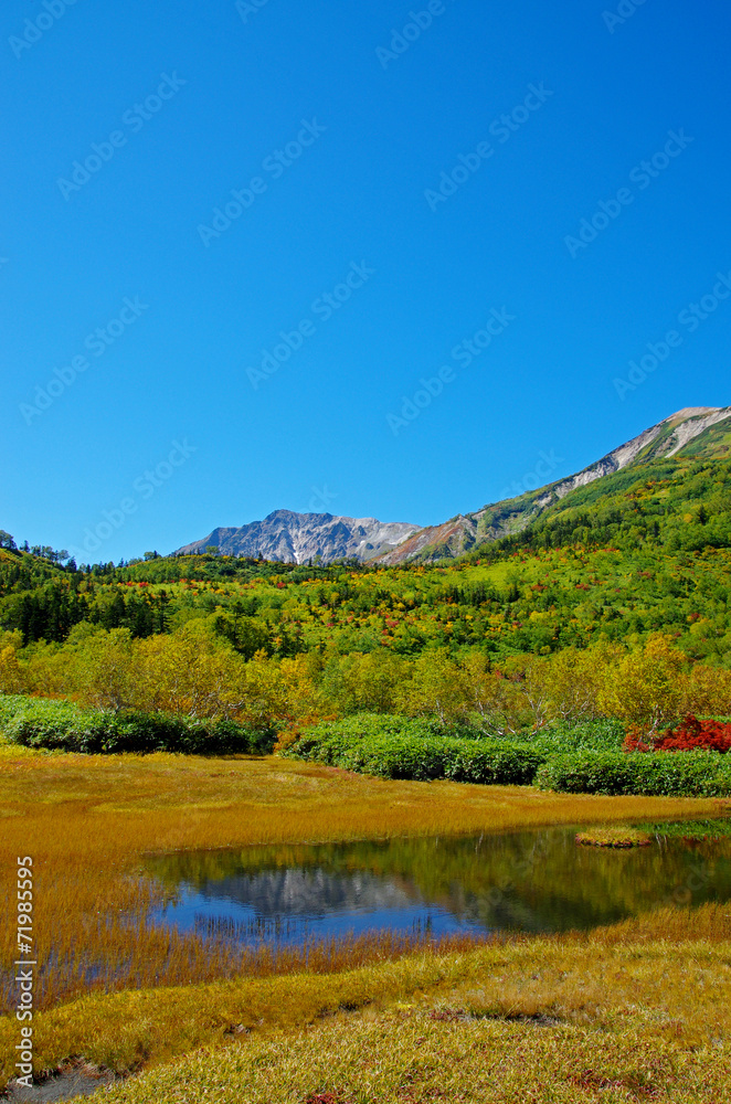 Obraz premium 秋の栂池自然園 浮島湿原