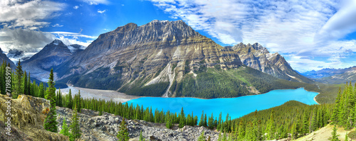 Peyto lake panorama photo