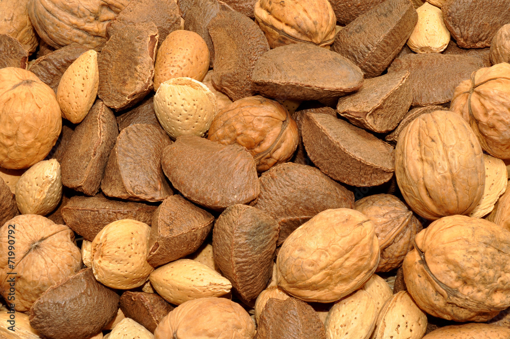 Mixed Nuts In Shells Background Mixed Nuts In Shells Background