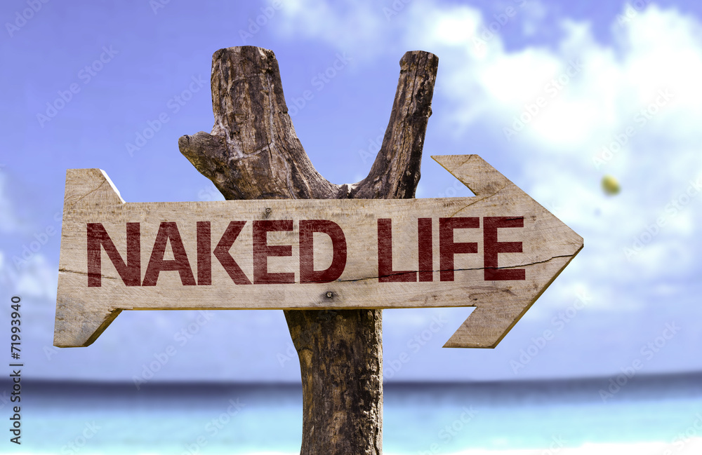 Naked Life wooden sign with a beach on background