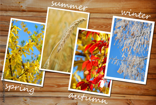 four seasons of the year images collection