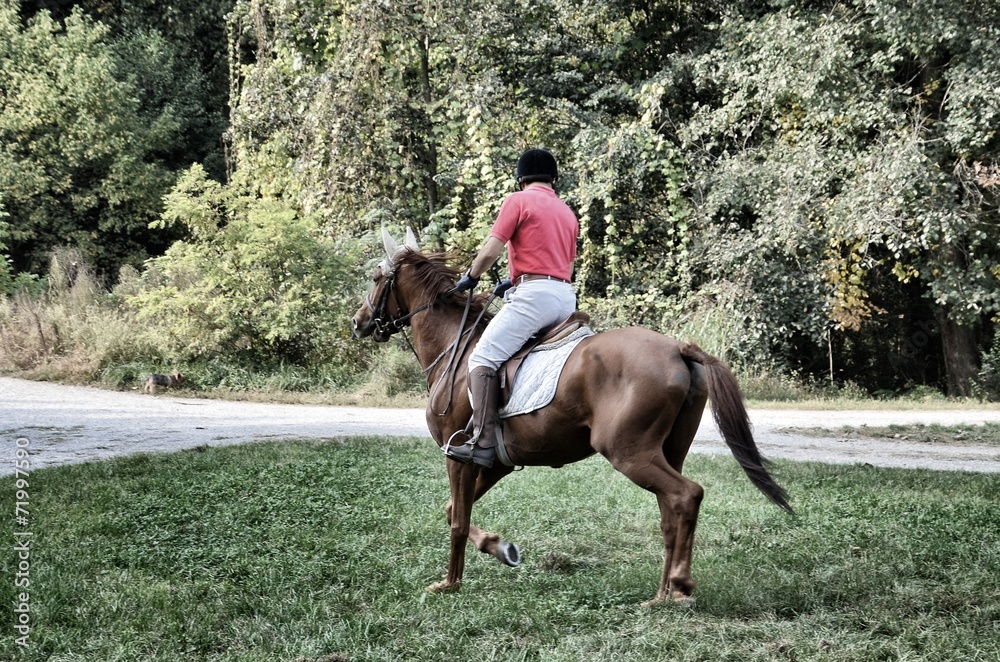 Un giro a cavallo