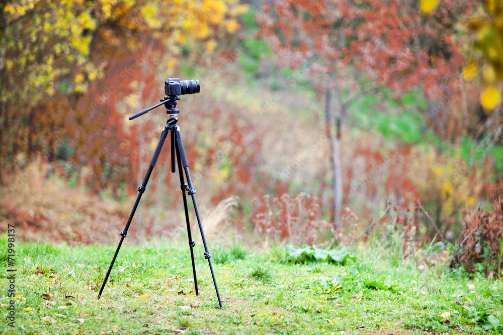 Tripod with camera lens standing on autumn lawn in forest Tripod with camera lens standing on autumn lawn in forest