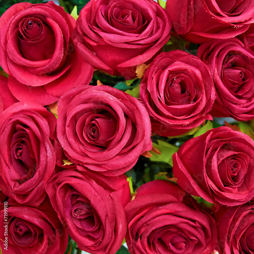 fake roses  floral background
