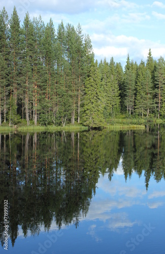 Fototapeta Naklejka Na Ścianę i Meble -  Reflections of the forest on a Swedish lake in Varmland