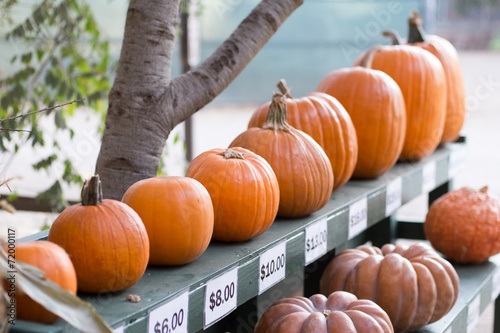 Pumpkin sale