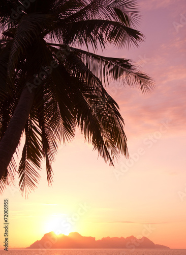 Night is Coming Coconut Horizon © alma_sacra