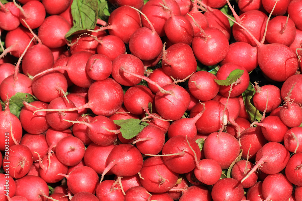 red radishes vegetable background red radishes vegetable background