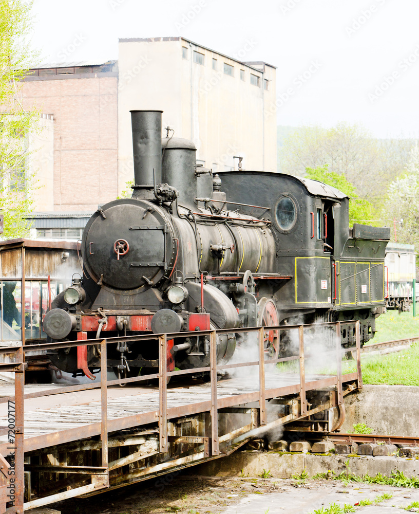 Naklejka premium steam locomotive (126.014), Resavica, Serbia