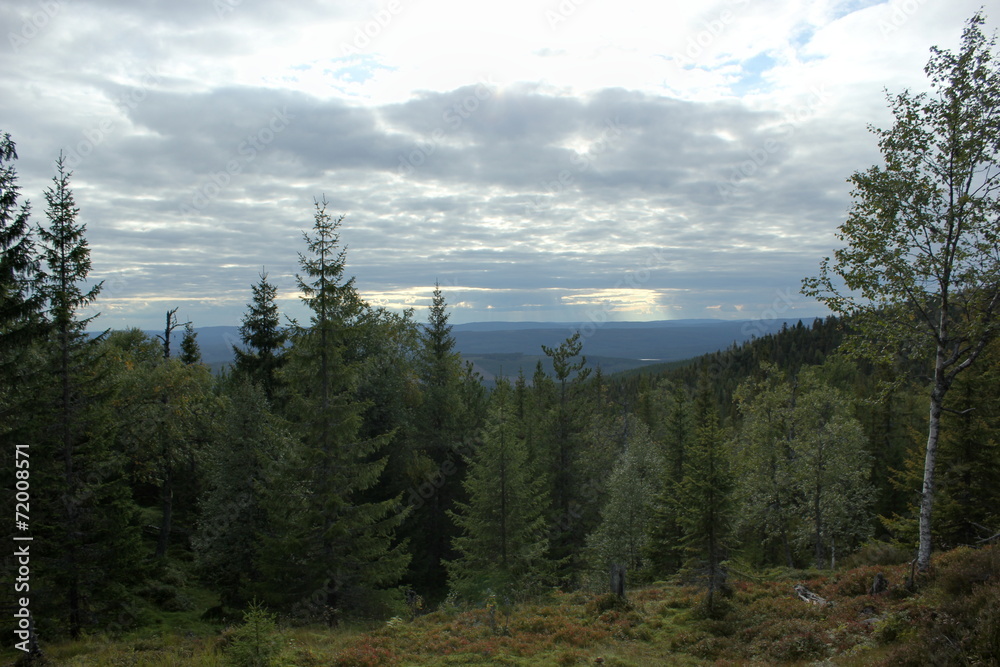 View from the mountain hastskar in Varmland, Sweden
